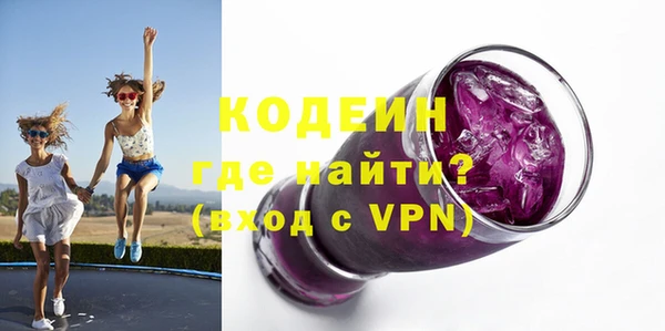дживик Инта