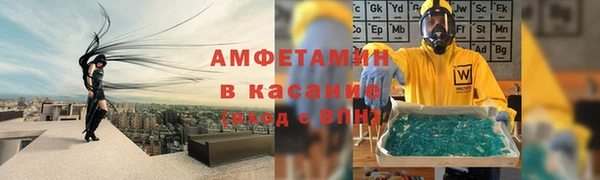 дживик Инта
