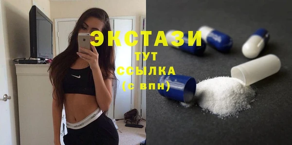 дживик Инта