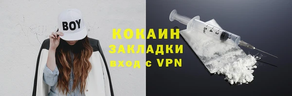 дживик Инта