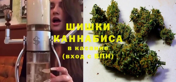 дживик Инта