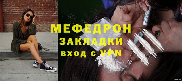 дживик Инта