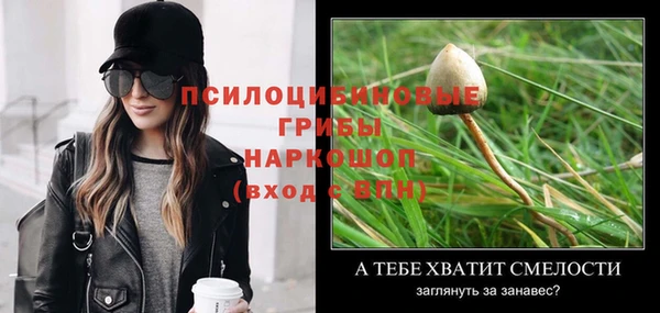 дживик Инта