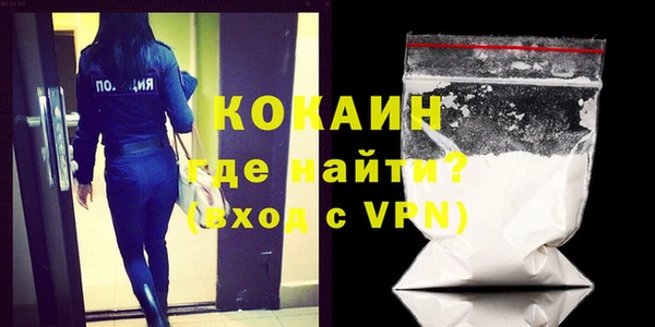 дживик Инта