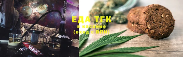 дживик Инта