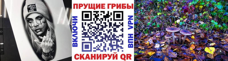 Купить где  Сатка  Псилоцибиновые грибы ЛСД 